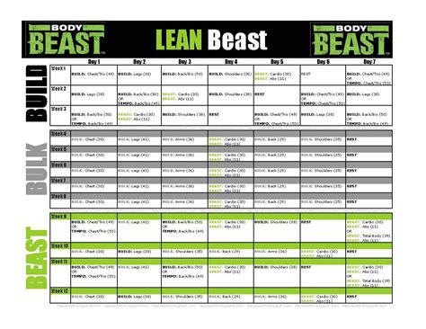 Printable Body Beast Schedule Pdf